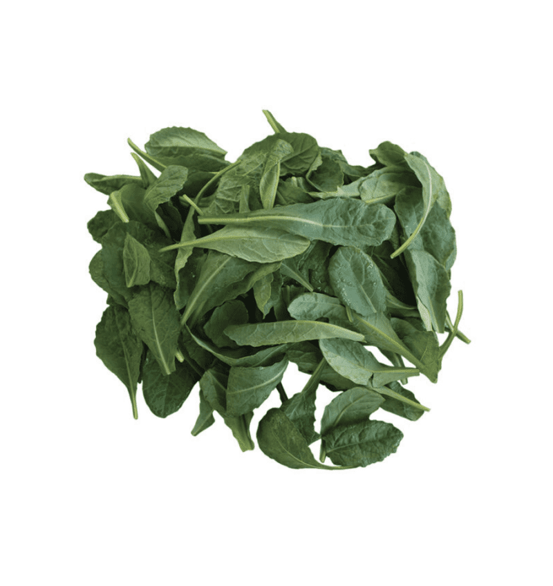 Toscano | Baby Leaf Kale Seed