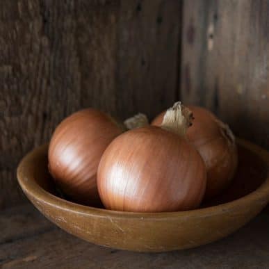 new-york-early-organic-onion-seed