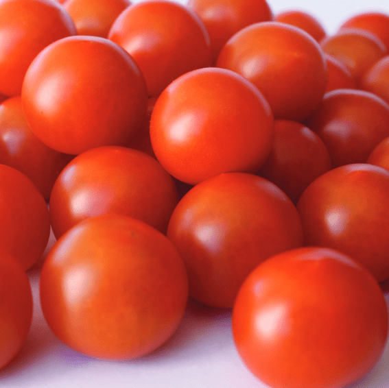 Cherry Bite | F1 Indeterminate Cherry Tomato Seed
