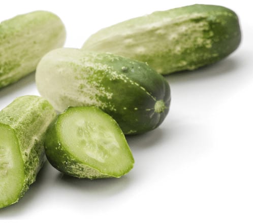 Quirk RZ | F1 Snack Cucumber