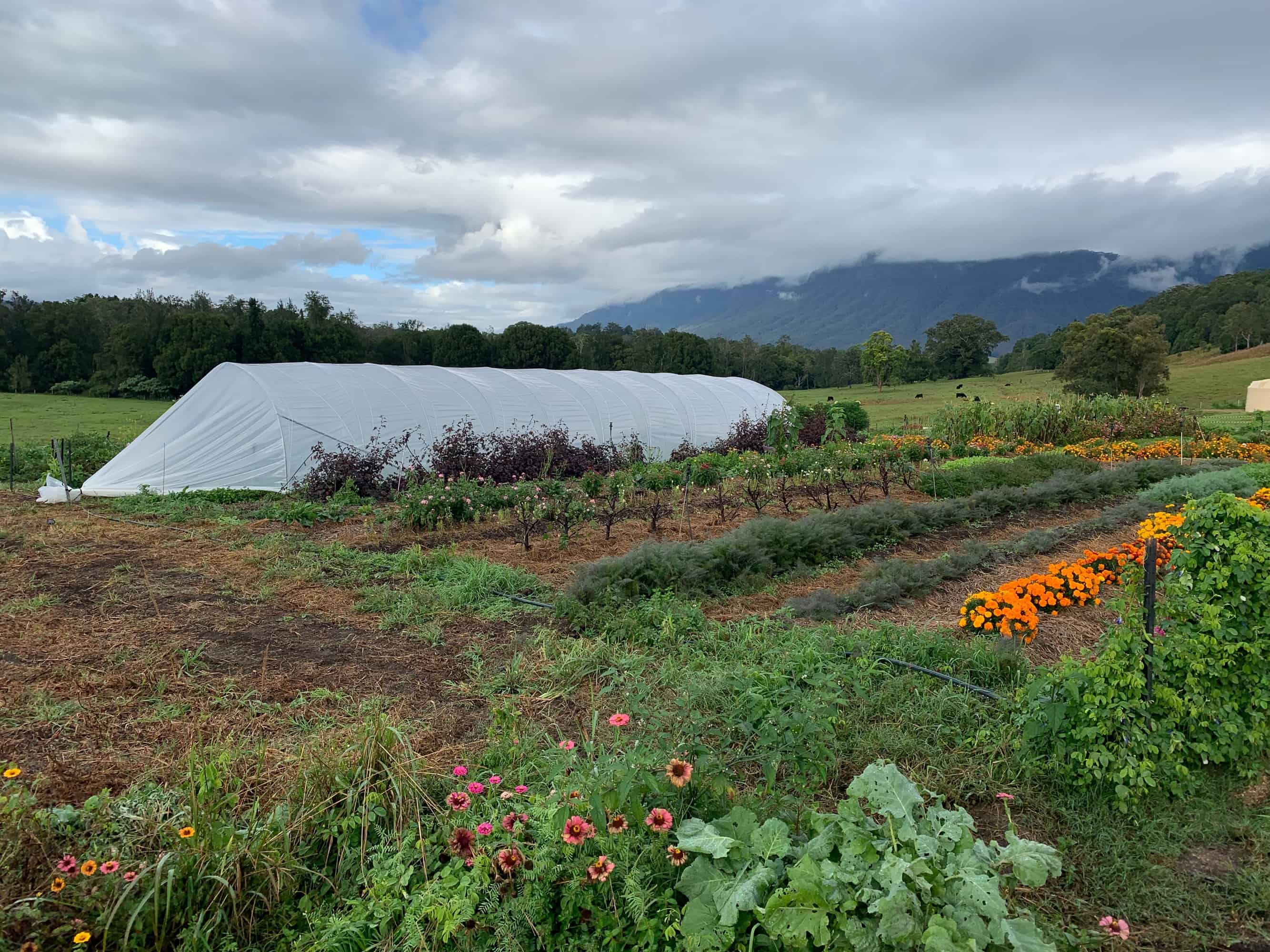 Greenhouses & Crop Covers