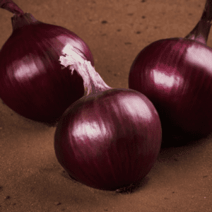 Early Red | F1 Onion seed
