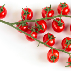 moscatel-rz-f1-cherry-tomato-seed