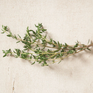 Summer Thyme | Organic Herb Seed