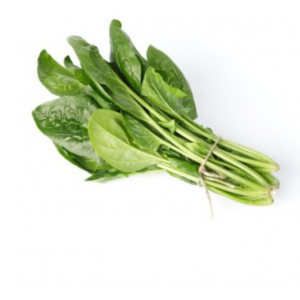 auroch-f1-winter-spinach-seed