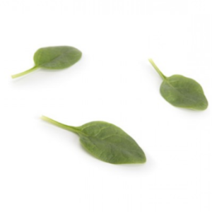 parakeet-rz-f1-warm-season-spinach-seed