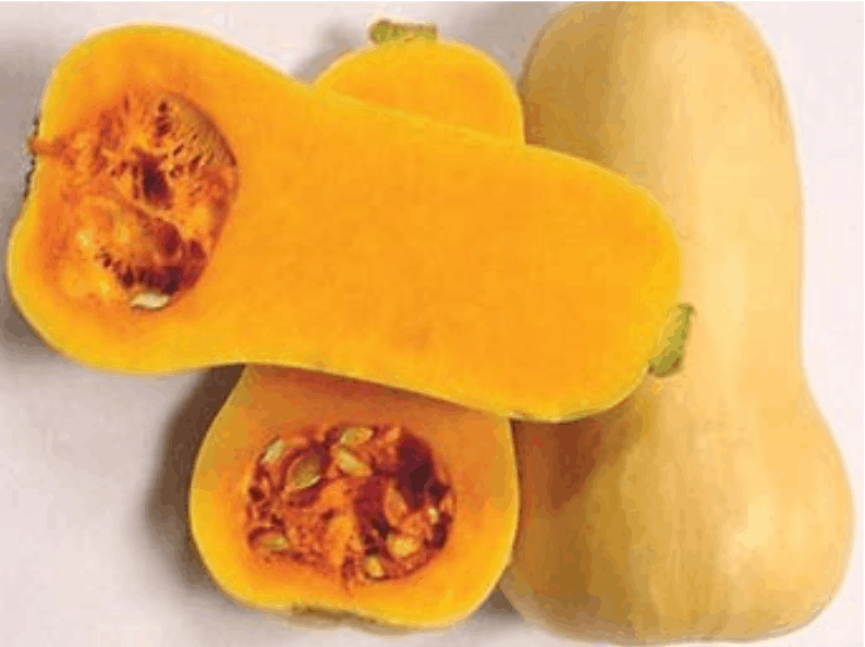 butternut-large-pumpkin-seed