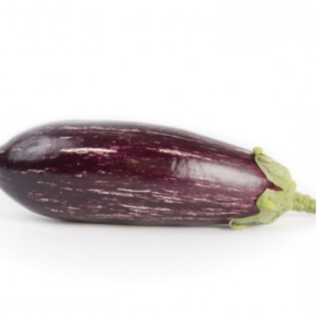 Lydia | F1 Purple and white striped oval Eggplant