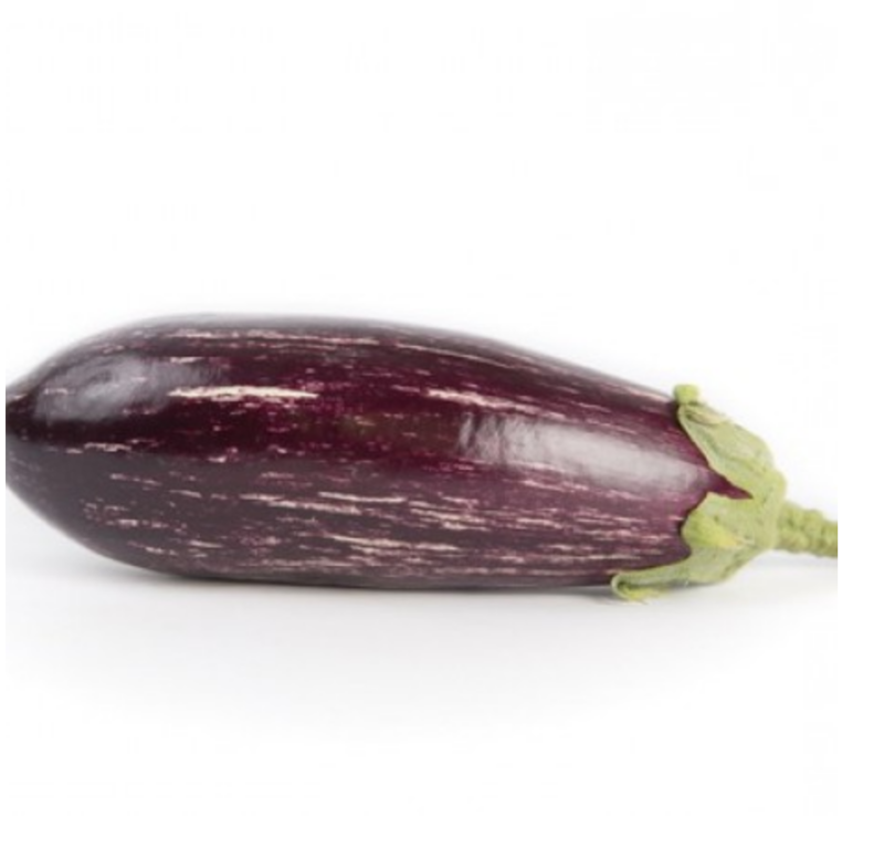 Lydia | F1 Purple and white striped oval Eggplant