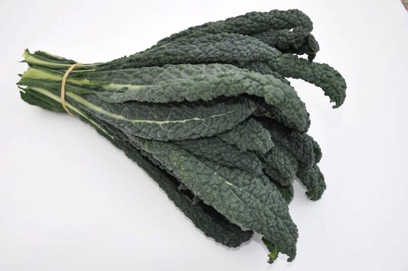 Lapo | Black Toscano Kale Seed