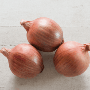 blush-f1-onion-seed