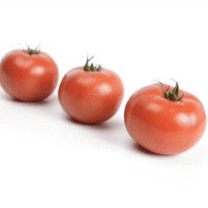 stewart-f1-tomato-seed