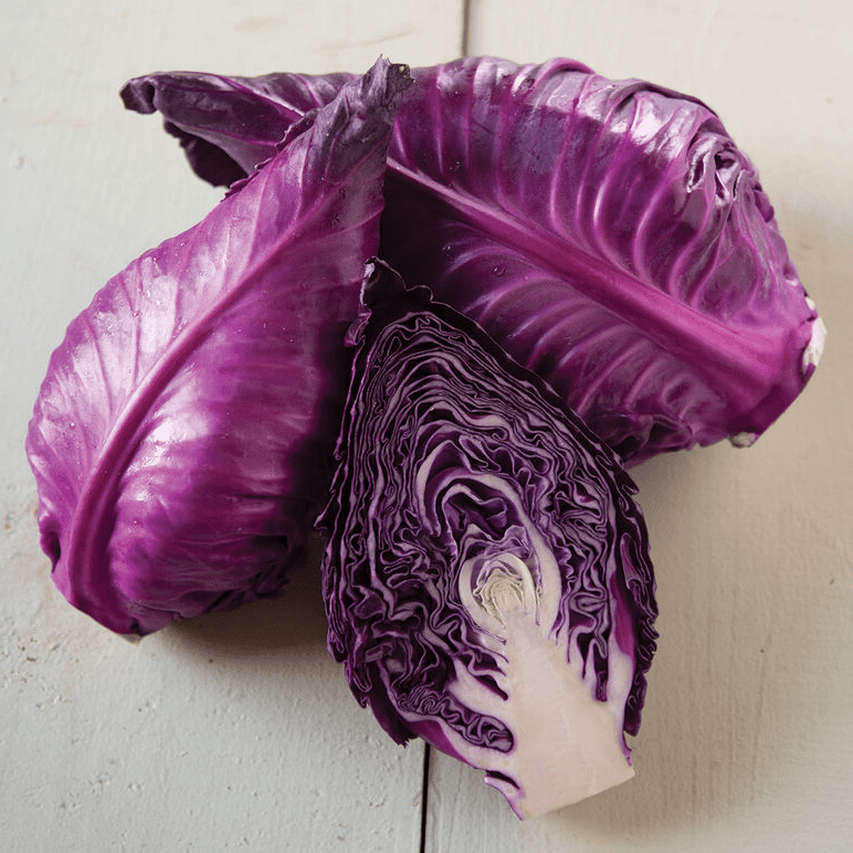 candy-red-cabbage-seed