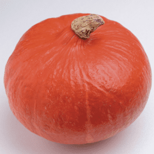 orange-summer-f1-kuri-pumpkin-seed