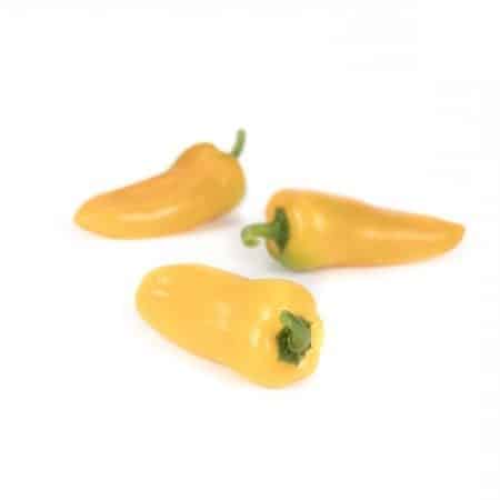 yellow-zuppa-rz-f1-sweet-snack-capsicum-seed