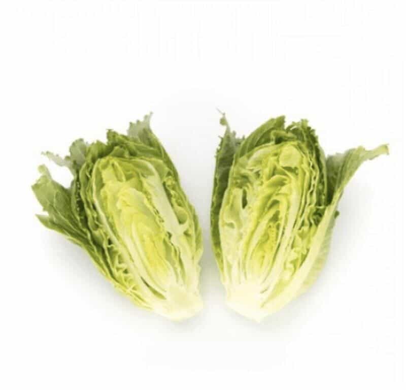 coronita-rz-crispy-cos-lettuce-seed