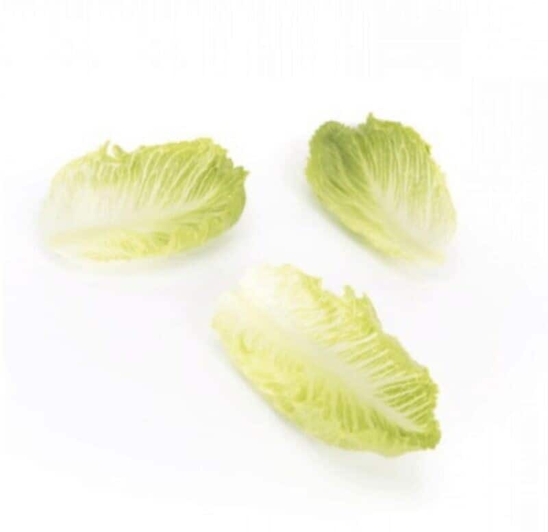 coronita-rz-crispy-cos-lettuce-seed
