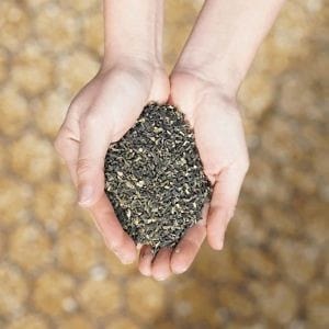 Dried Kelp Blend | Soil, Compost and Feed Supplement
