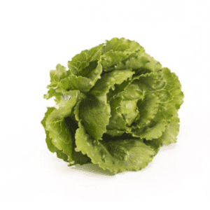 verodita-rz-crunchy-cos-lettuce-seed
