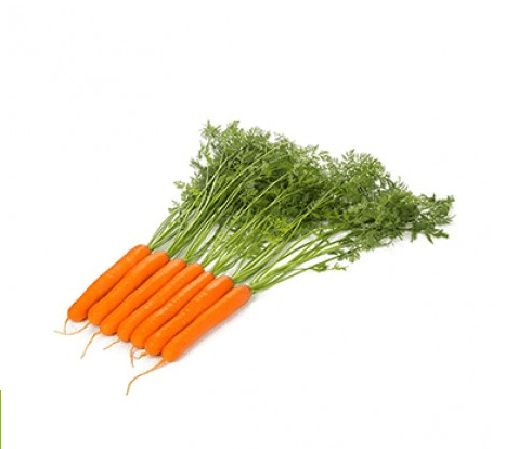 ymer-rz-f1-table-carrot-seed
