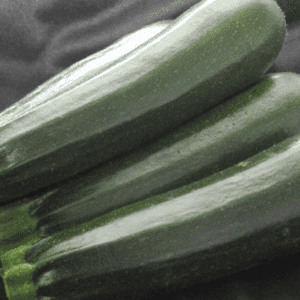 enzo-f1-zucchini-seed