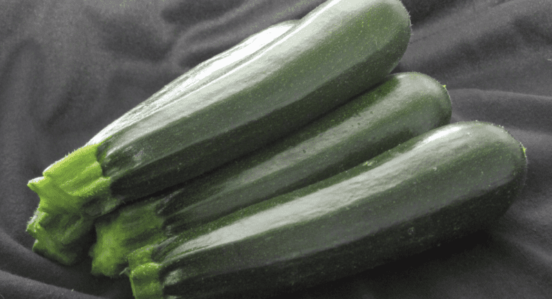 enzo-f1-zucchini-seed