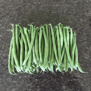 jackson-round-stringless-bush-bean-seed