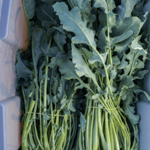 Broccolo Fiolaro | Organic Broccolo Seed